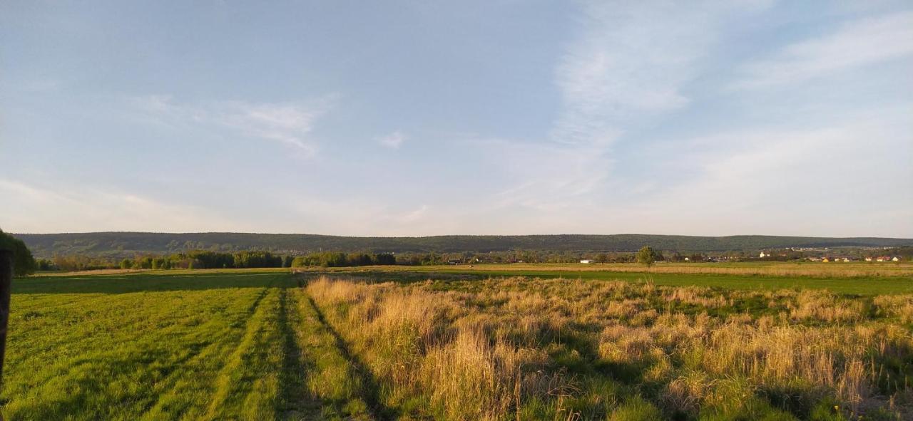 Witowka Bieliny (Swietokrzyskie)